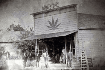 Virginia cannabis history