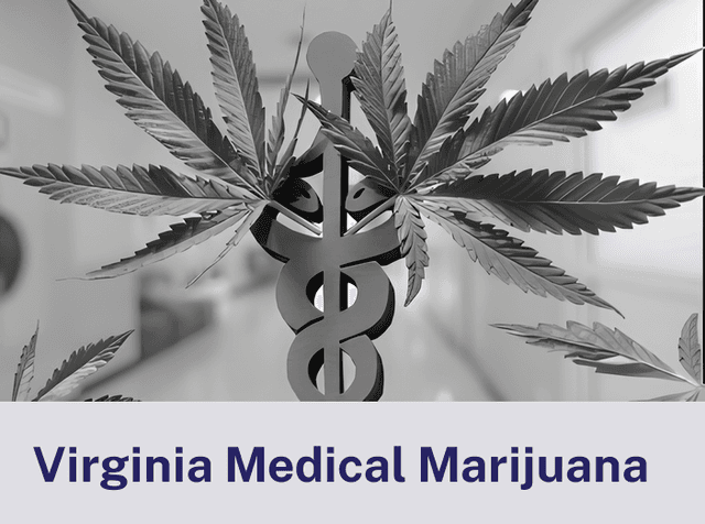 Virginia Medical.png
